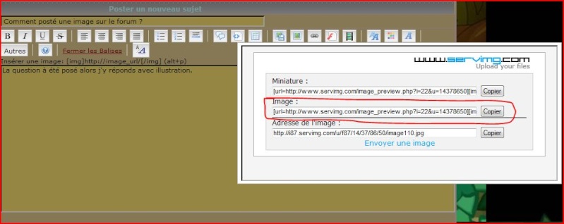 Comment posté une image sur le forum ? Image411