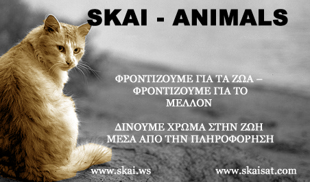 WELCOME TO OYR FORUM Skaian12