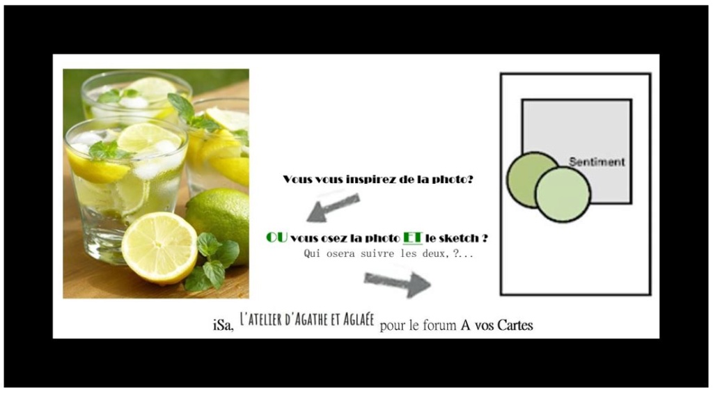 Accueil : mojito ou citronnade? â˜€ Challe13
