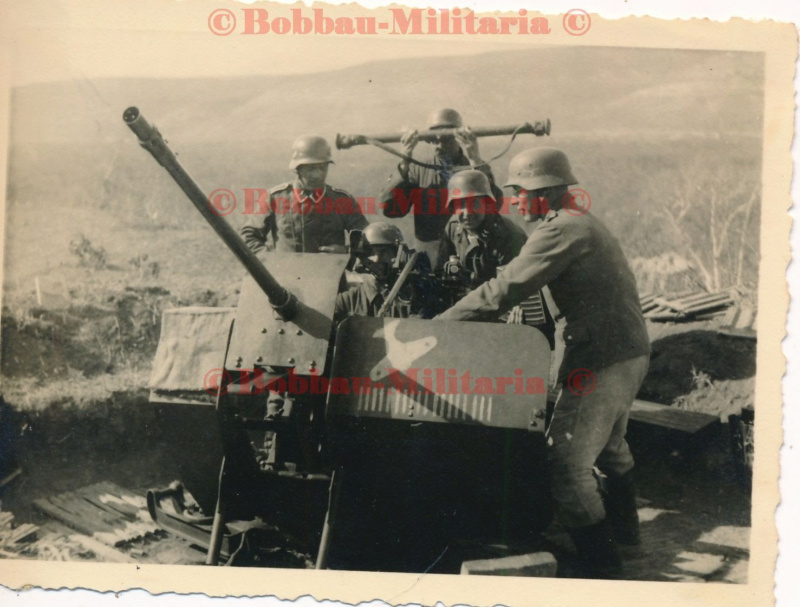 La piétaille de la luftwaffe, felddivision et parachutistes - Page 3 Flak3010