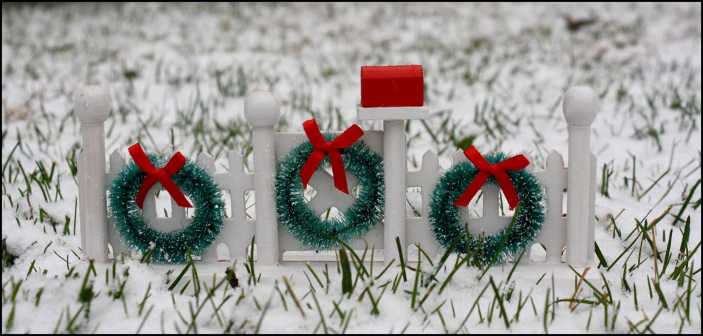 Thème du mois de décembre 2019 : Le mois de décembre ! O03310