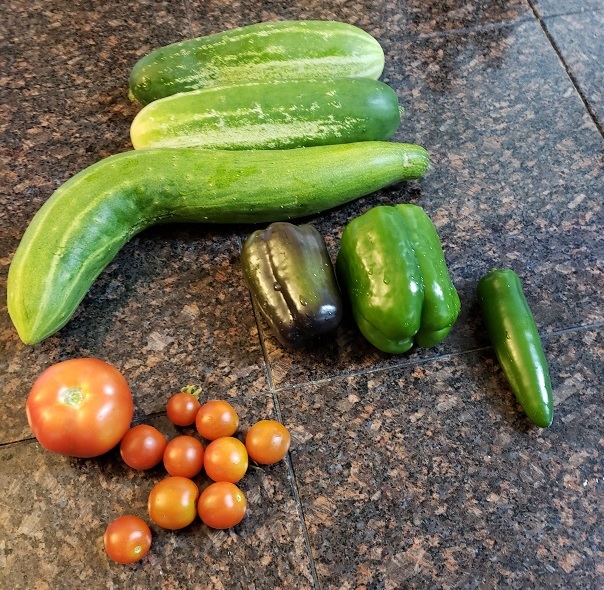 What are you eating from your garden today? - Page 30 Harves13