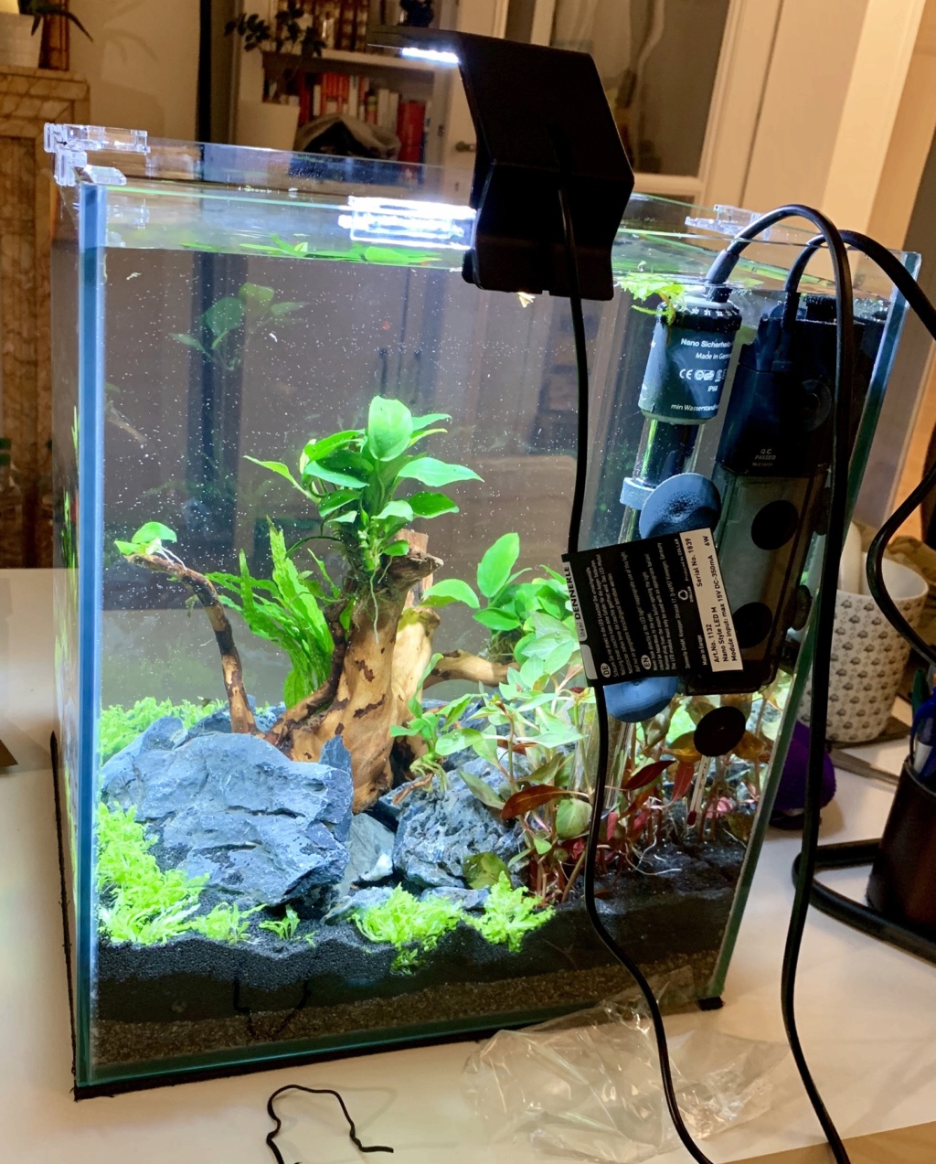 Nanocube 30L - Retour à l’aquariophilie! 504ad210