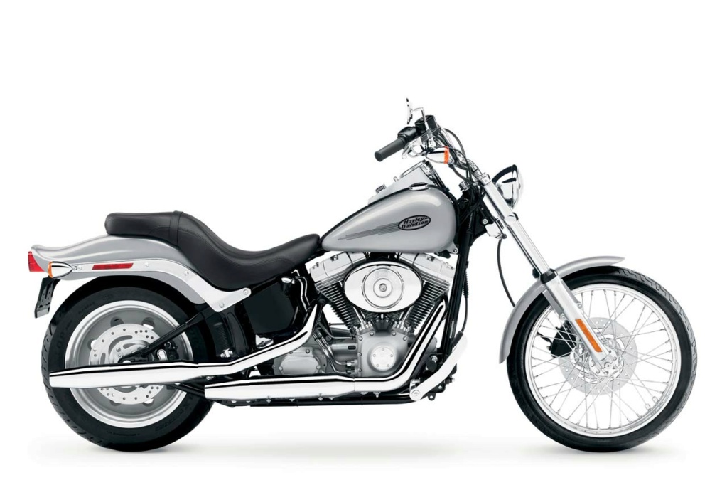softail standard ou custom 2006-h10