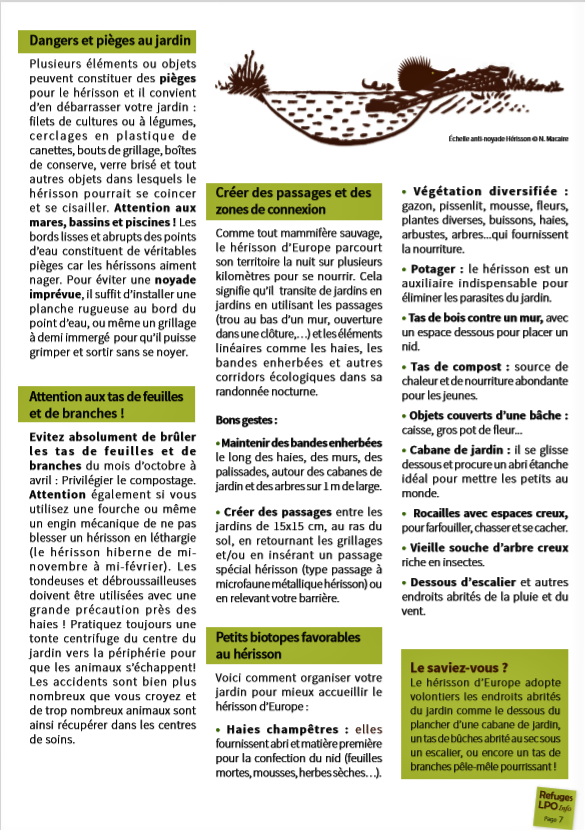 Nouveau magazine "refuges LPO" I-crop10