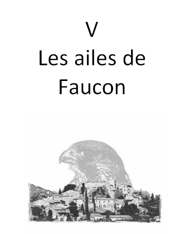 Faucon (homme à Violette) Captur13