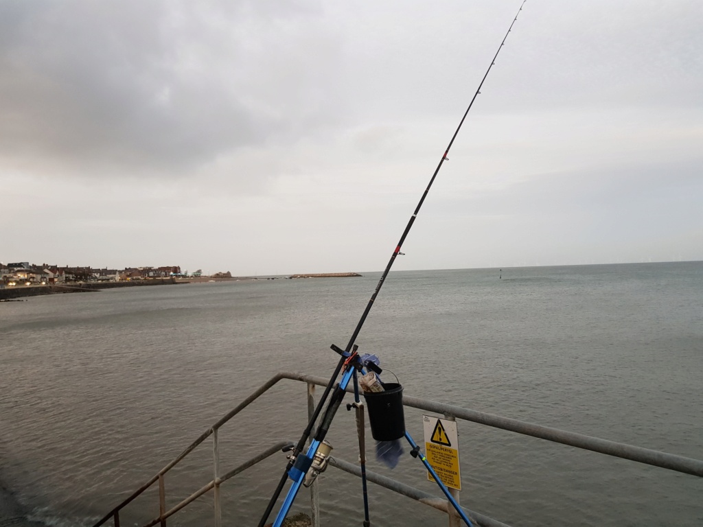 Whiting around the Christmas Tree at Cayley Bank, Rhos on Sea. 20211211