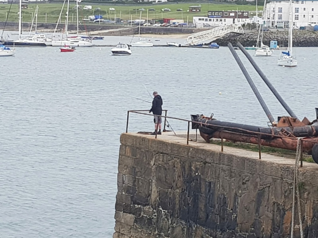 Out on the Wrasse in Holyhead Img-2096