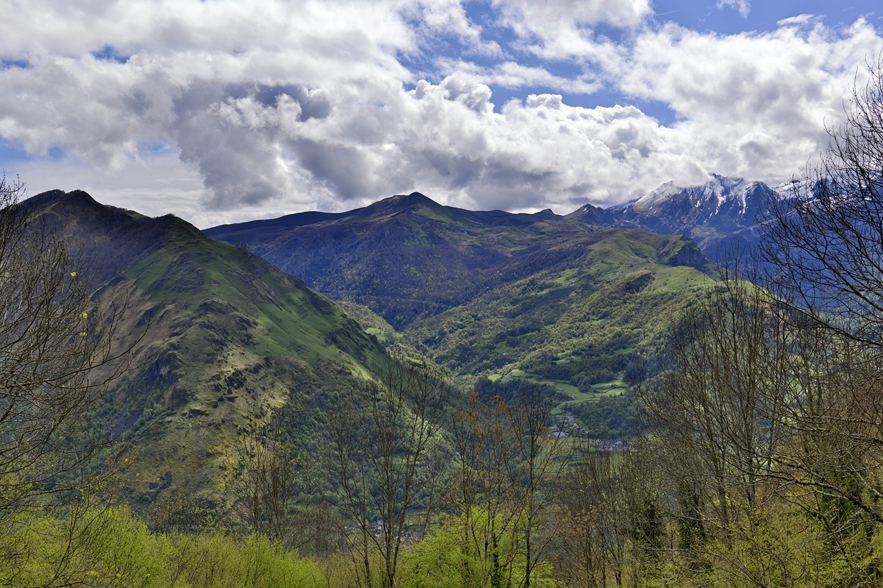 La fin d'une estive en vallée d'Ossau. _1026922