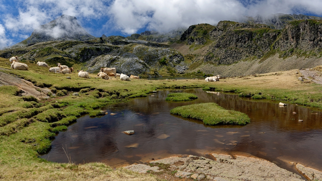 Lac pipicaca vallée d'Ossau P1082111