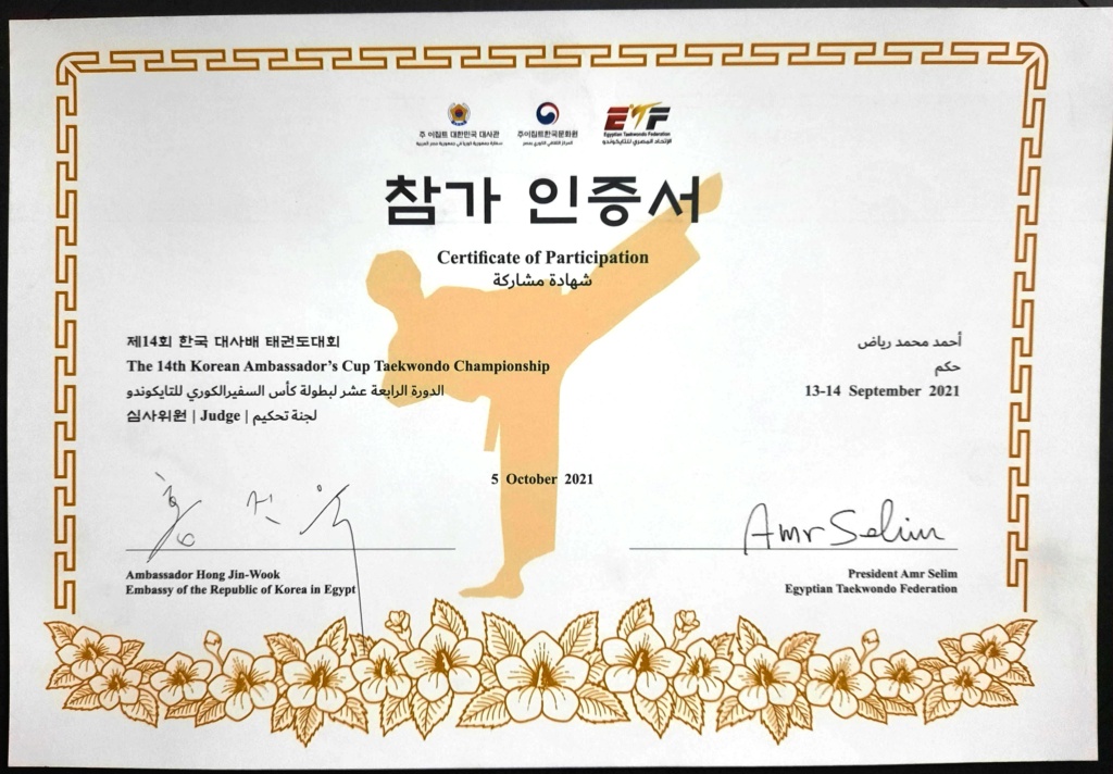 Certificate of Participation in The 14th Ambassador's Cup Taekwondo Championship 243