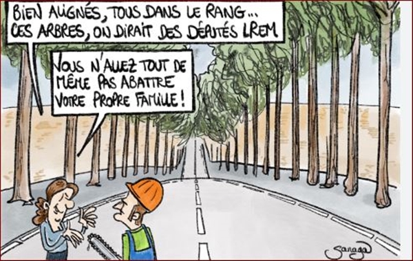 [CQFD] Les arbres...ces assassins! 2_arbr10