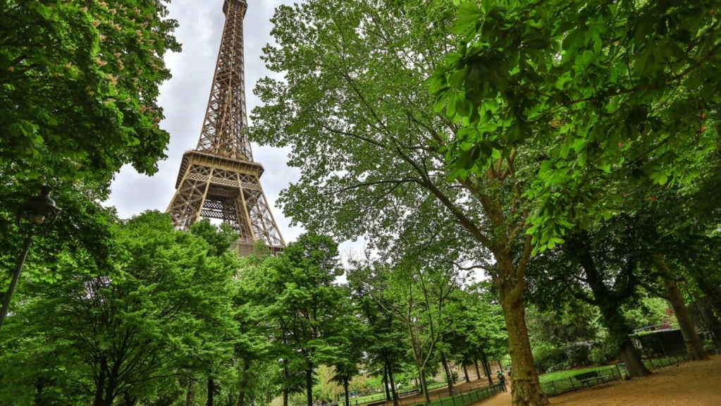 La Tour Eiffel végétalisée...Quelle embellie!!! 42-nor10