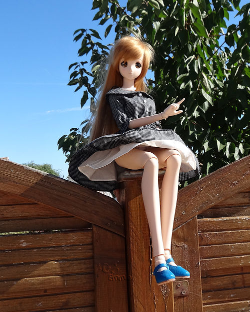 Smart Doll Mirai Suenega de Danny Choo - Page 3 114