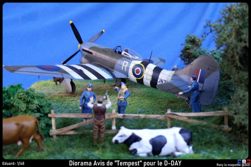 (KALEIDOSCOPE) Hawker TEMPEST  (Toute version, tout pays, toute échelle) Diora281