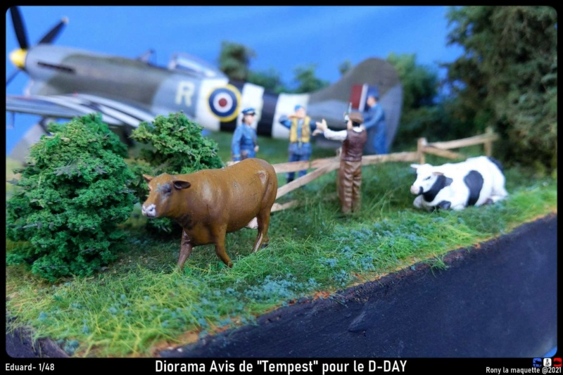 Diorama Tempest Mk.V Eduard 1/48 Diora296