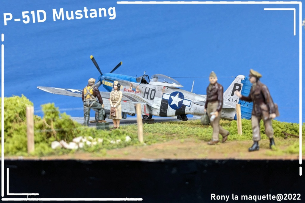 [Eduard] 1/48 - North American P-51D Mustang  - Page 3 Diora394
