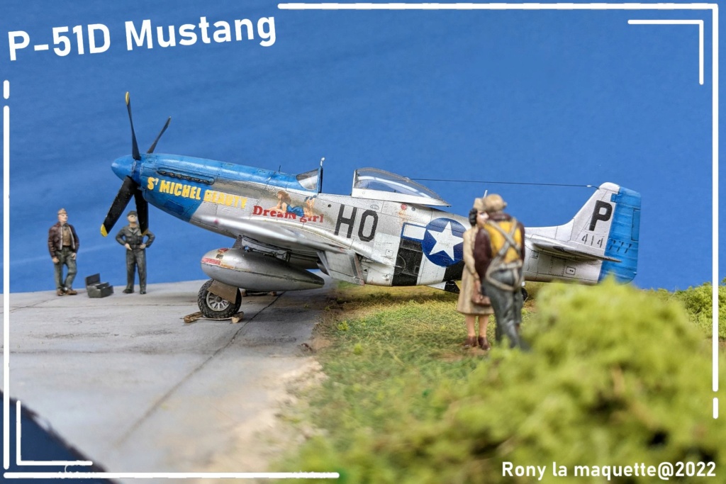 [Eduard] 1/48 - North American P-51D Mustang  - Page 3 Diora395