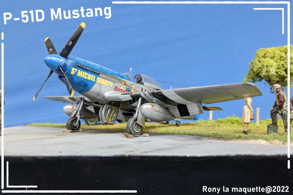 [Eduard] 1/48 - North American P-51D Mustang  - Page 3 Diora397