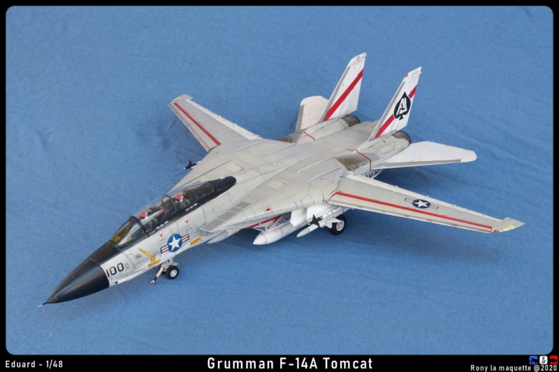 (KALEIDOSCOPE) Grumman F-14 TOMCAT (Toutes versions, tous pays, toutes échelles) Maque144