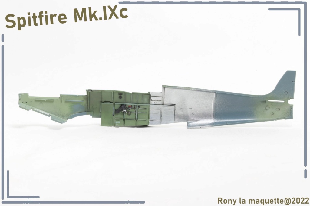[Eduard] 1/48 - Supermarine Spitfire Mk.IXc  Maque170
