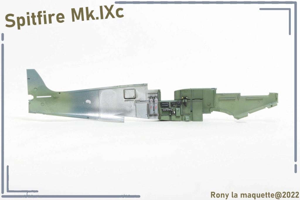 [Eduard] 1/48 - Supermarine Spitfire Mk.IXc  Maque171