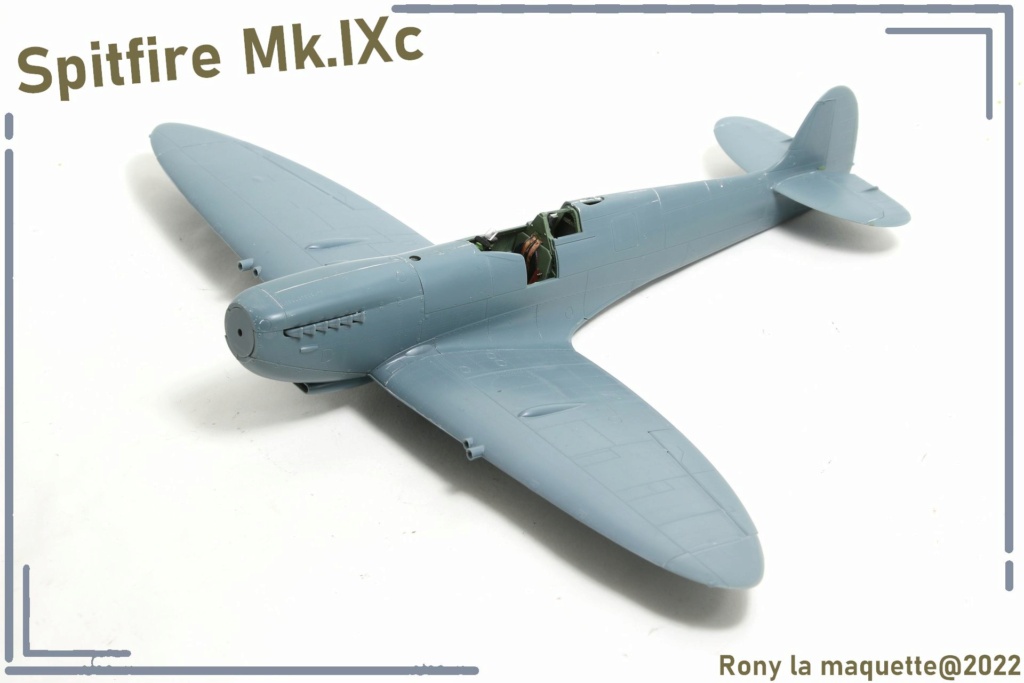 [Eduard] 1/48 - Supermarine Spitfire Mk.IXc  Maque175