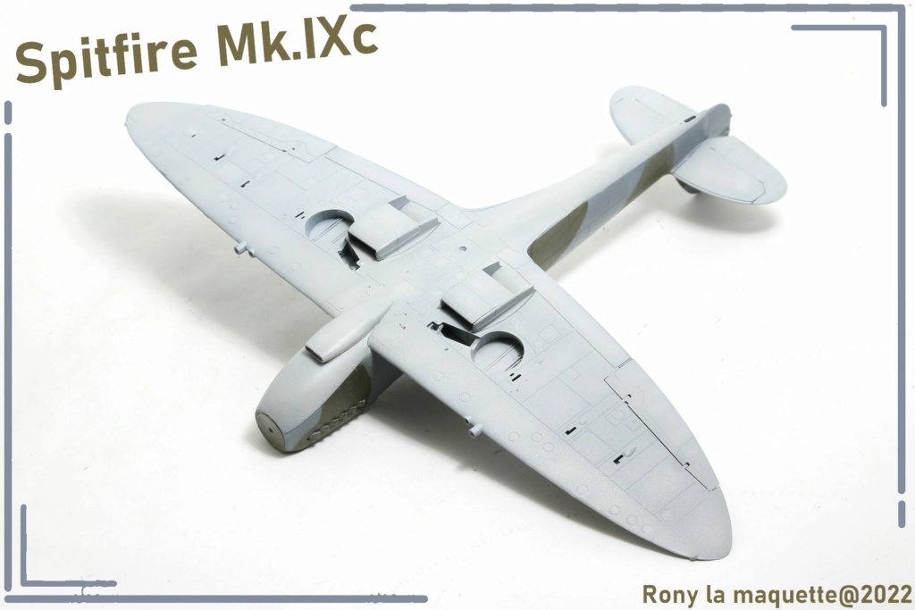 [Eduard] 1/48 - Supermarine Spitfire Mk.IXc  Maque183