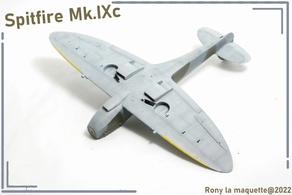 [Eduard] 1/48 - Supermarine Spitfire Mk.IXc  Maque186