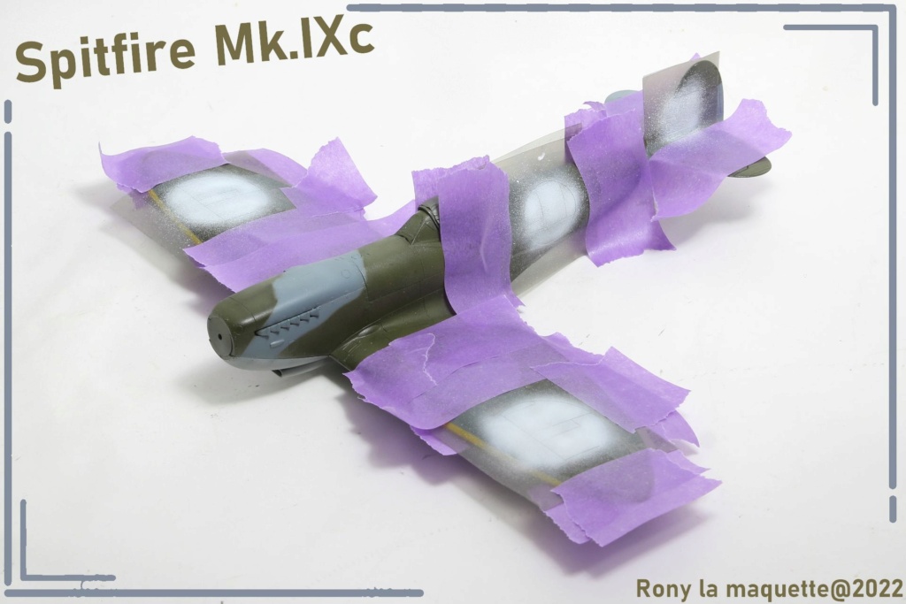 [Eduard] 1/48 - Supermarine Spitfire Mk.IXc  Maque192