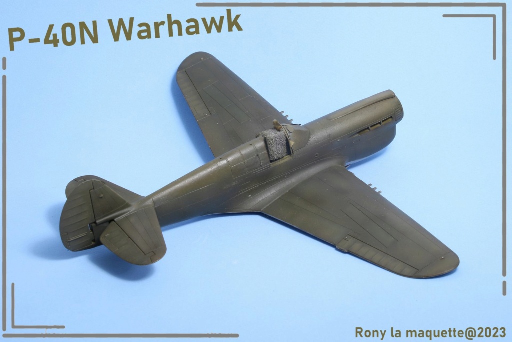 P40N Warhawk  [Hasegawa] 1/48 Maque232