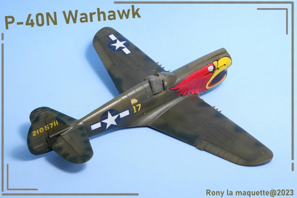 P40N Warhawk  [Hasegawa] 1/48 Maque247