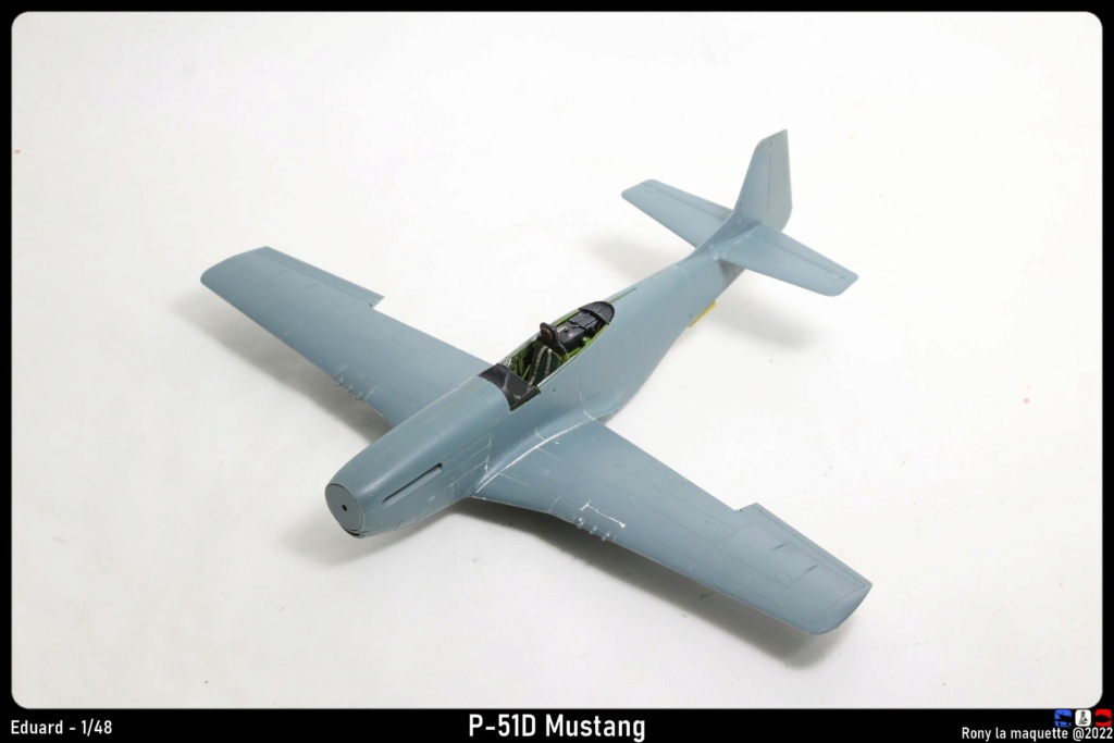 [Eduard] 1/48 - North American P-51D Mustang  Monta760