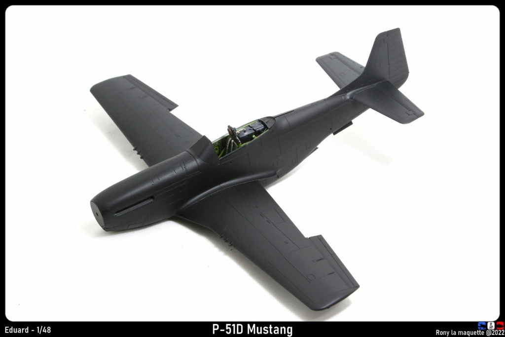 [Eduard] 1/48 - North American P-51D Mustang  Monta763