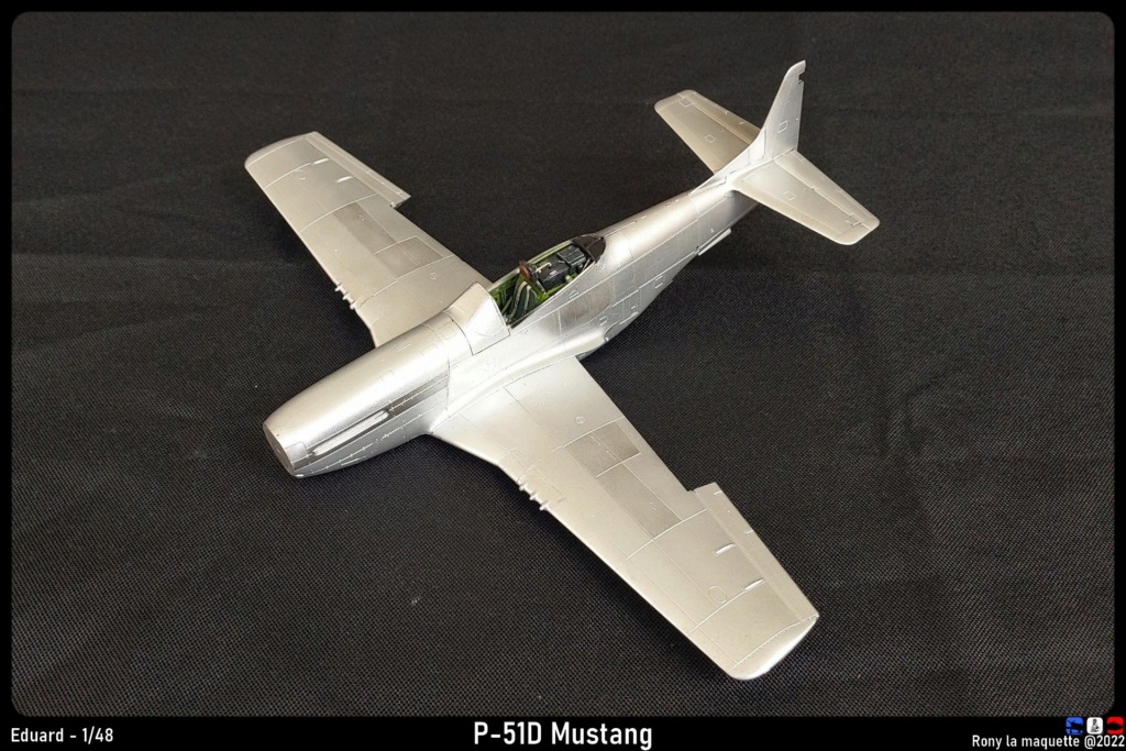 [Eduard] 1/48 - North American P-51D Mustang  Monta764