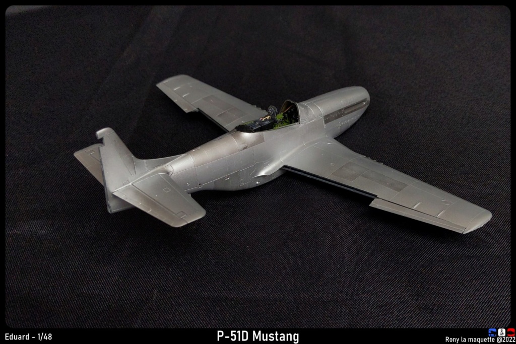 [Eduard] 1/48 - North American P-51D Mustang  Monta767