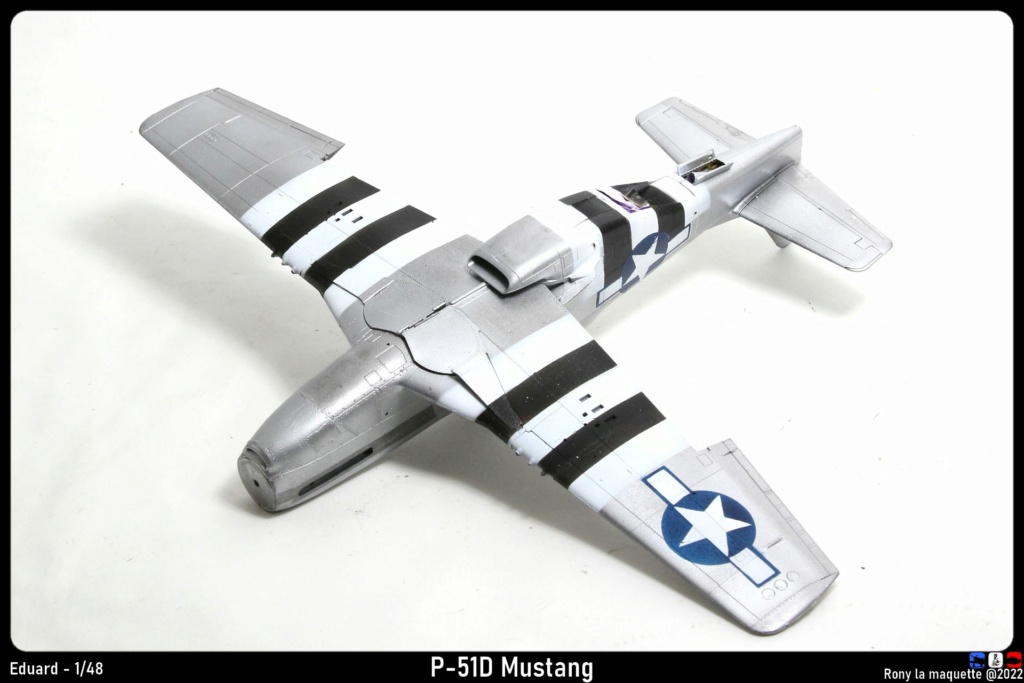 [Eduard] 1/48 - North American P-51D Mustang  Monta776