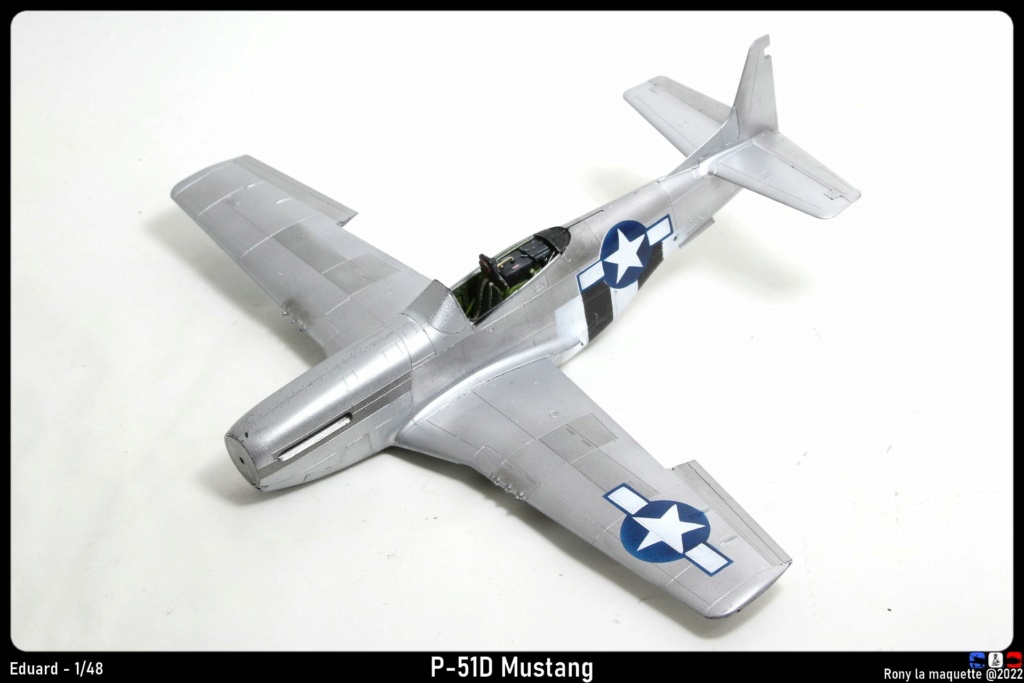 [Eduard] 1/48 - North American P-51D Mustang  Monta777