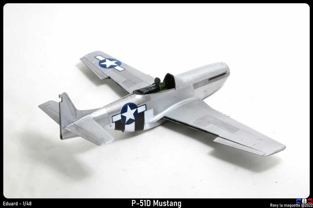 [Eduard] 1/48 - North American P-51D Mustang  Monta778