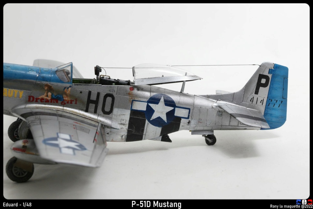 [Eduard] 1/48 - North American P-51D Mustang  - Page 3 Monta803