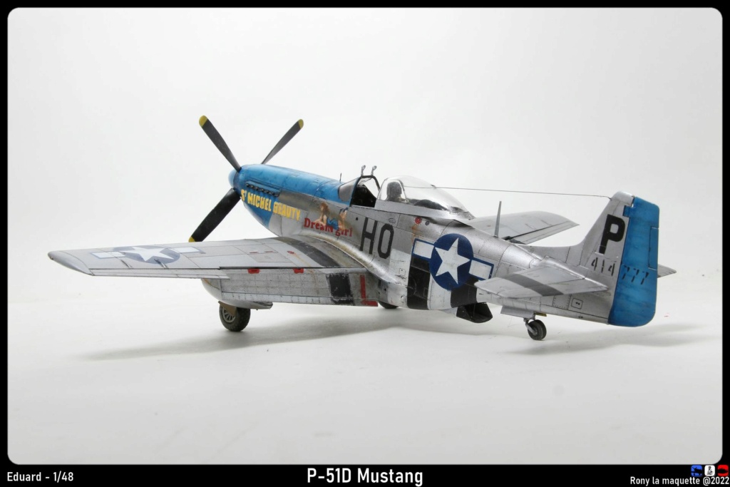 P-51D Mustang blue nose , Eduard, 1/48. Monta806