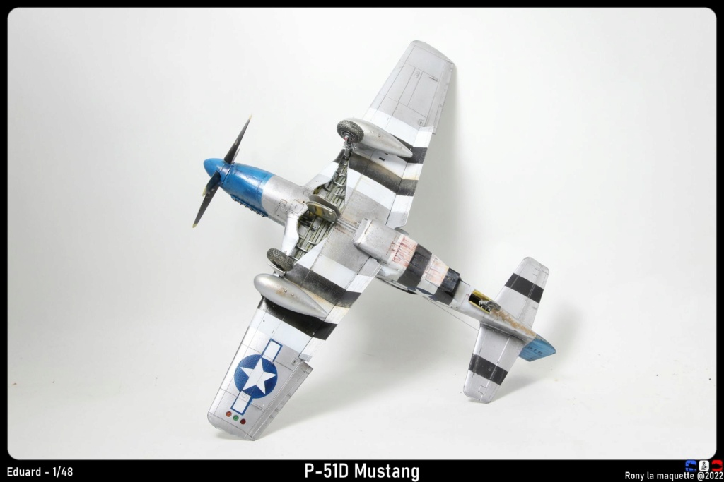 P-51D Mustang blue nose , Eduard, 1/48. Monta810