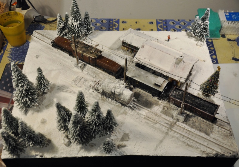 Diorama hivernale - locomotive Crocodile - 1/87 (HO) - Page 3 Dsc_1193