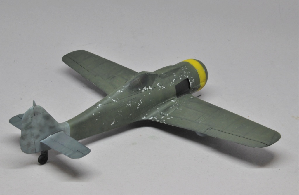 Focke-Wulf Fw 190 F-8 [Eduard 1/48°] de Le renard du désert Dsc_2398
