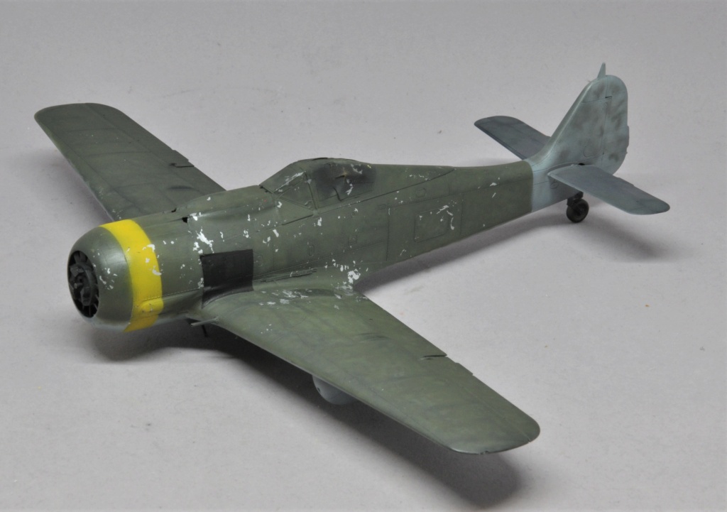 Focke-Wulf Fw 190 F-8 - Eduard - 1/48 Dsc_2399