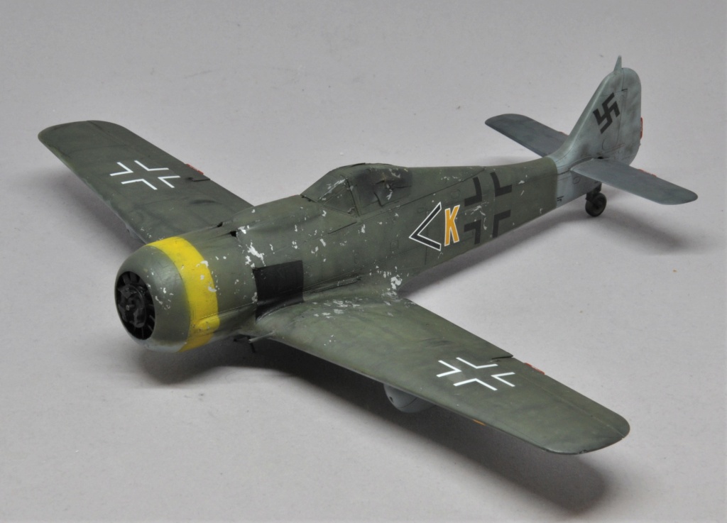 Focke-Wulf Fw 190 F-8 [Eduard 1/48°] de Le renard du désert Dsc_2401