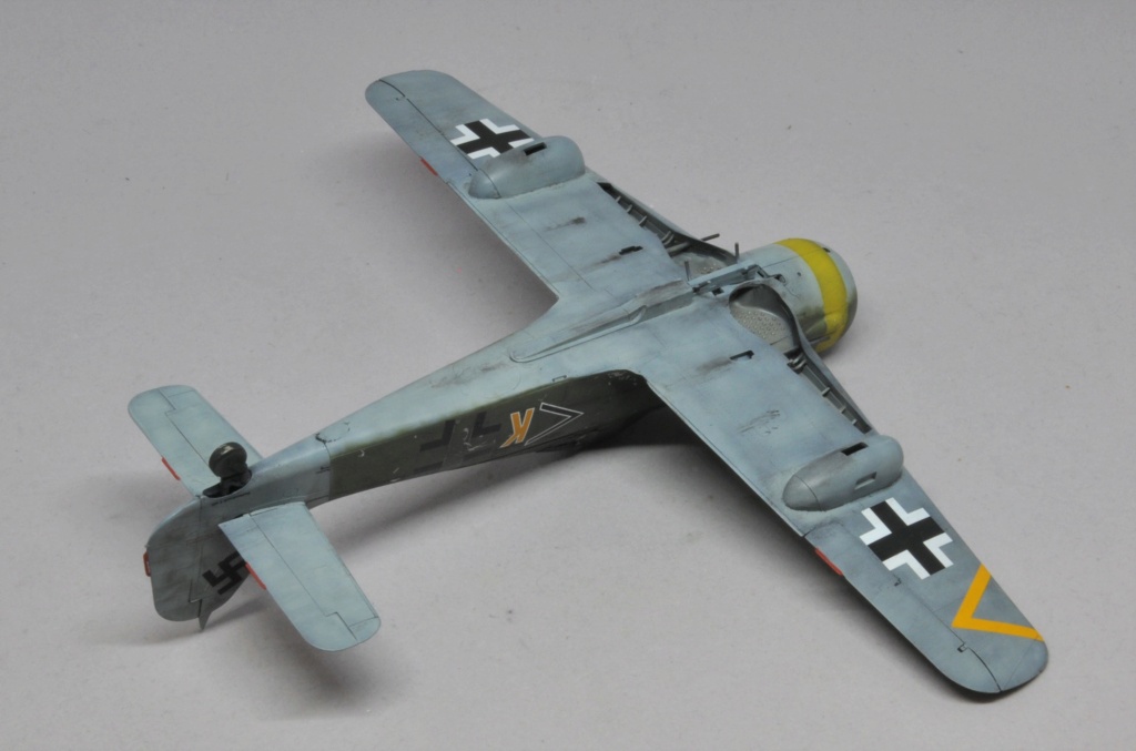 Focke-Wulf Fw 190 F-8 [Eduard 1/48°] de Le renard du désert Dsc_2402