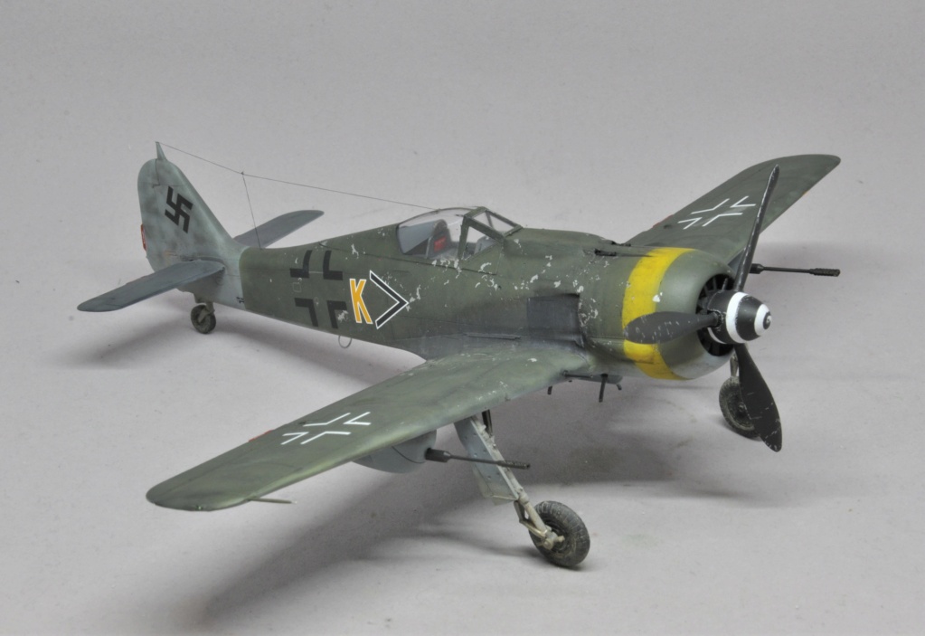 "Der letzte Tag der Luftwaffe" Focke-Wulf Fw 190 F-8 - Eduard - 1/48 Dsc_2404