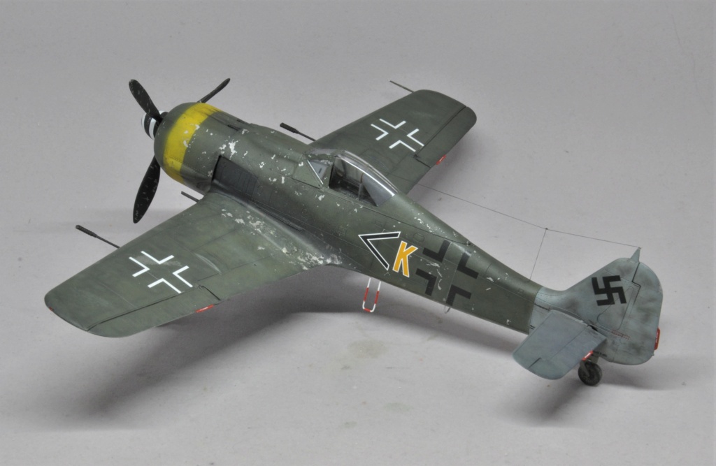 "Der letzte Tag der Luftwaffe" Focke-Wulf Fw 190 F-8 - Eduard - 1/48 Dsc_2406