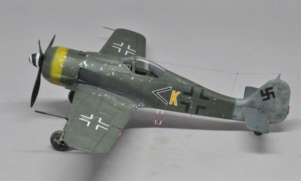 "Der letzte Tag der Luftwaffe" Focke-Wulf Fw 190 F-8 - Eduard - 1/48 Dsc_2407